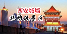 jj抽插bb中国陕西-西安城墙旅游风景区